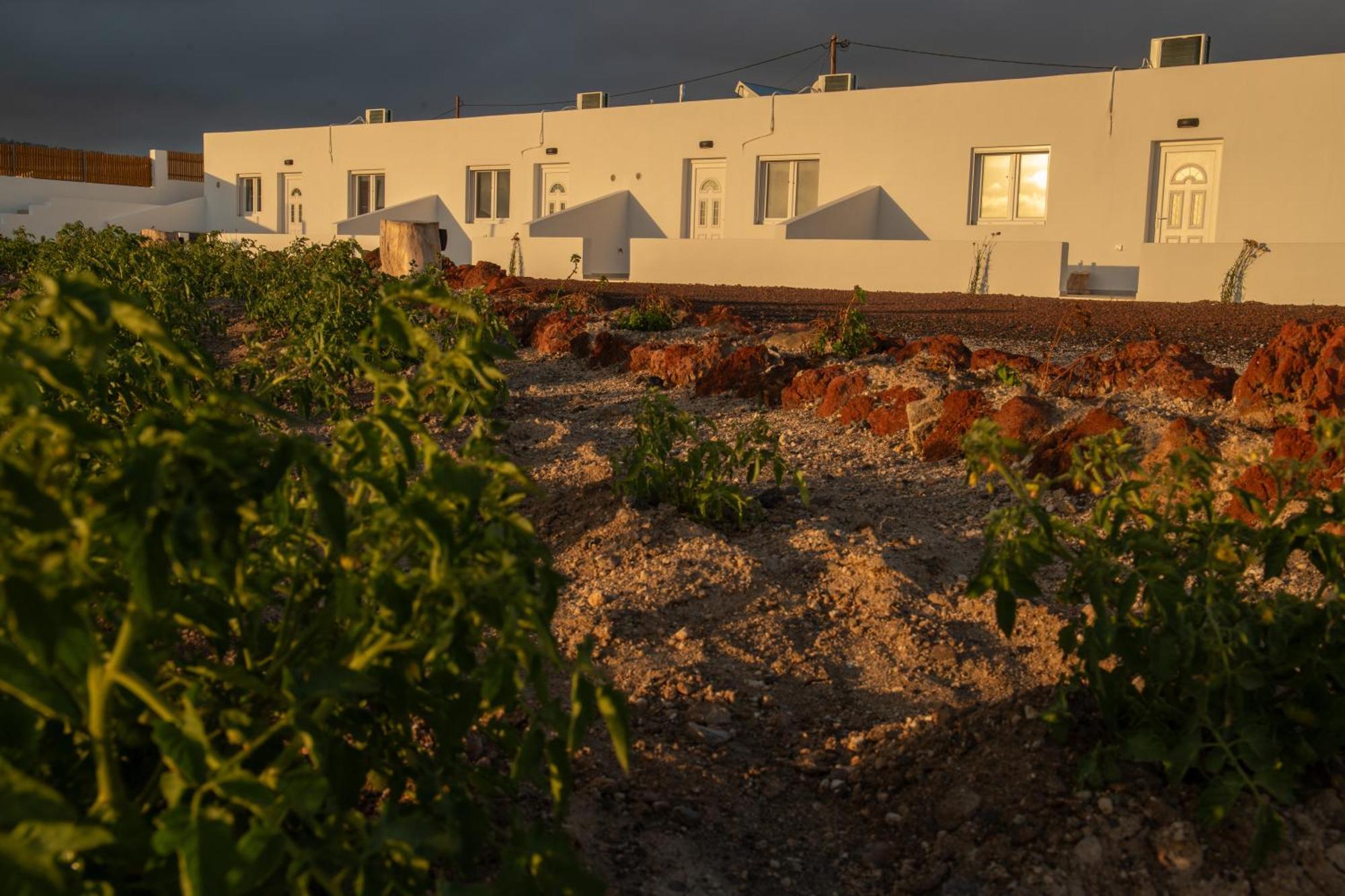 Calma Eco Houses Sunset View Emporio  Exterior photo